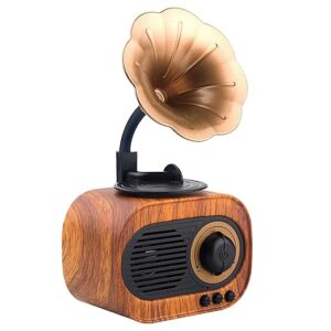 Classic Retro Wireless BT Speaker with FM/USB/AUX in & Hands Free Calling (5W RMS Output)
