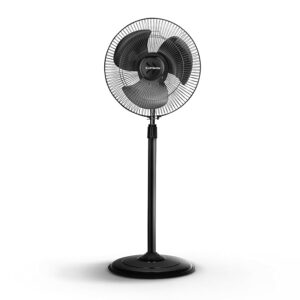 Mini 300 mm/12 Inch Ultra High Speed 3 Blade Decorative Star Rated Pedestal Fan (Black, Pack of 1)