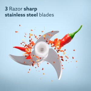 AGARO Elite Rechargeable Mini Electric Chopper, Food Grade Bowl, Stainless Steel Blades, One Touch Operation, for Mincing Garlic, Ginger, Onion, Vegetable, Meat, Nuts, 250 Ml,...