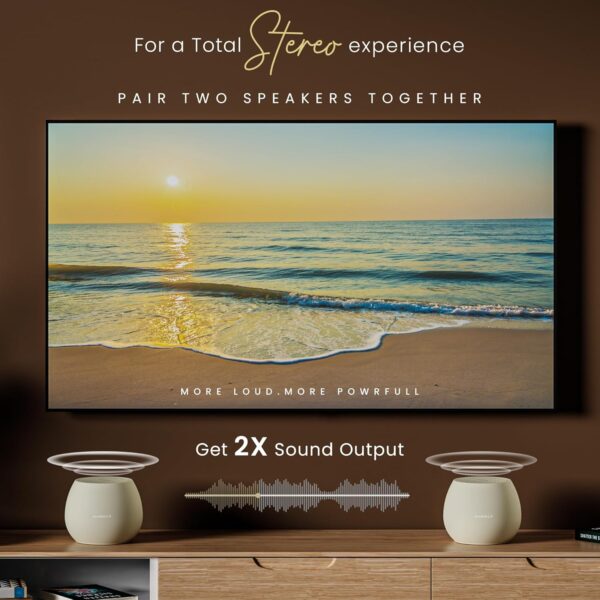Bluetooth Wireless Speaker with Twin Pairing