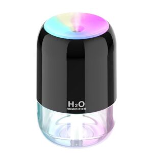 H2O Mini Humidifier with LED Lights, Ultrasonic Cool Mist, Essential Oil Compatible, Portable for Car Home Office